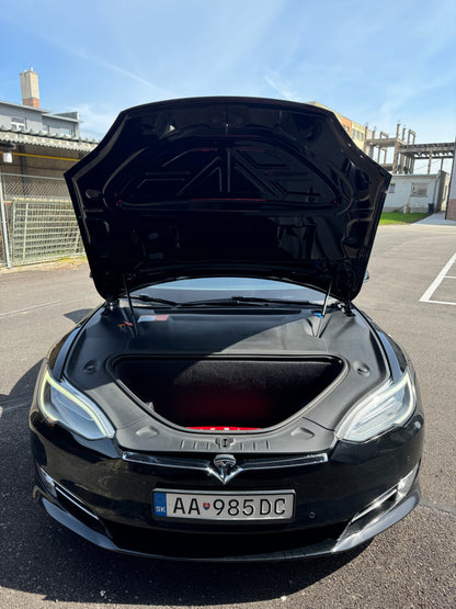 Tesla Model S 100D AWD