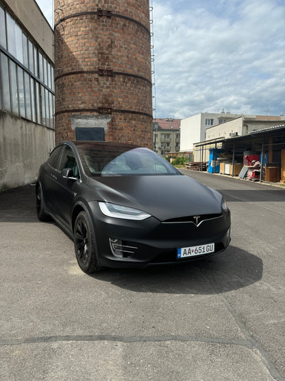 Tesla Model X 100D AWD