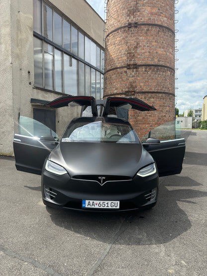 Tesla Model X 100D AWD