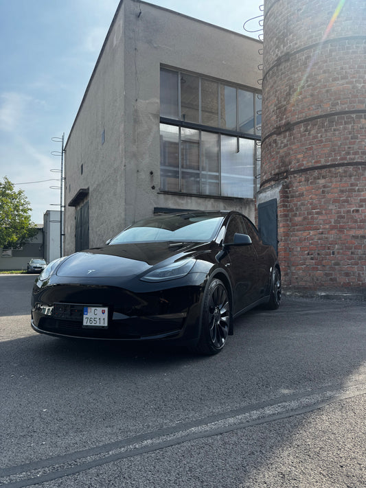 Tesla Model Y PERFORMANCE